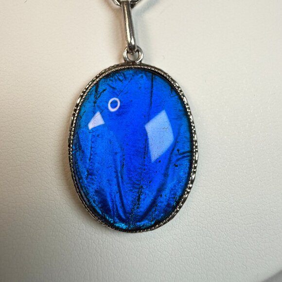 Thomas L. Mott Sterling Blue Morpho Butterfly Wing Pendant on 16″ Bar Link Chain - Picture 3 of 7